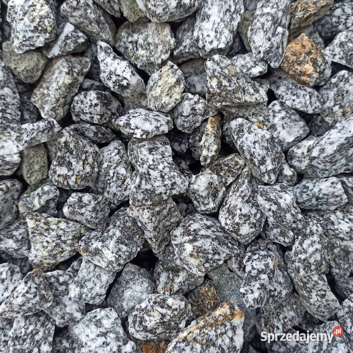 Grys Granitowy Dalmatian Kora Kamienna Janowicki Chrzanów