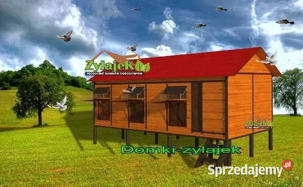 Gołębnik solidna konstrukcja wysyłka 250400 Korczyna sprzedam
