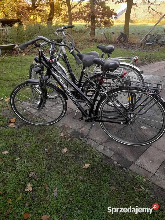 Hurtowa sprzedaż rowerów używanych z Niemiec i Holandii.