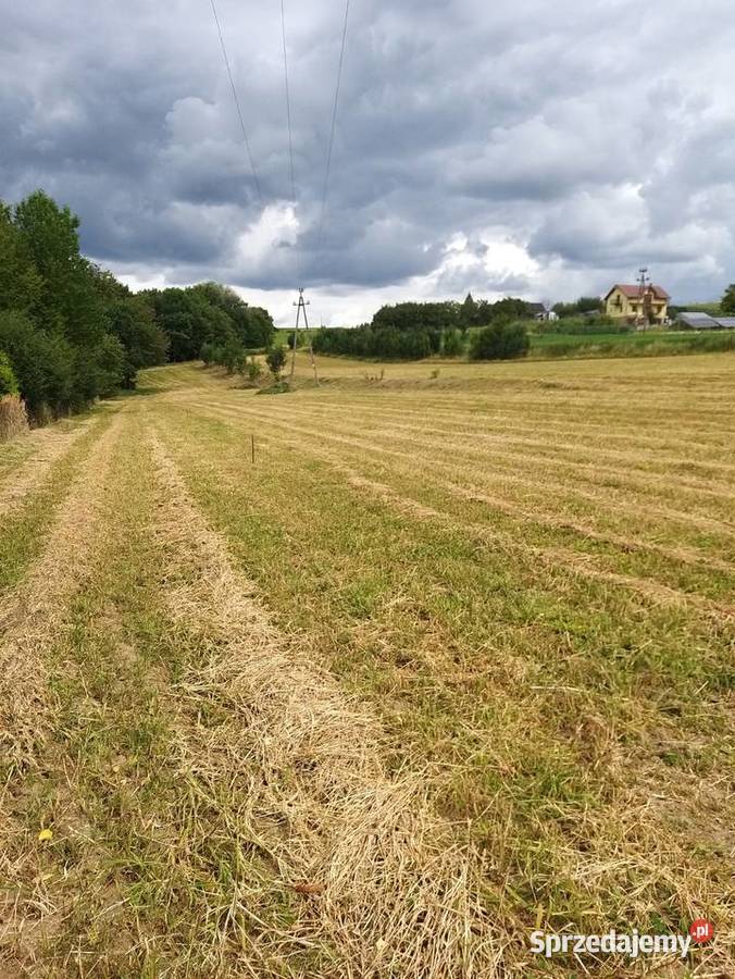 Oferuję działki budowlane o różnych 1000m2 Sprzedaż Mazańcowice sprzedam