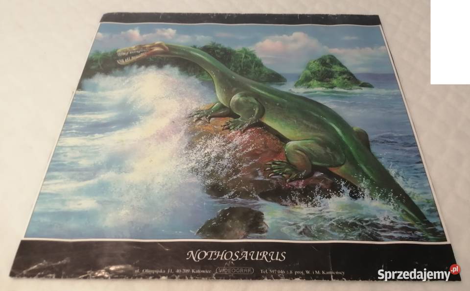 Plakat Nothosaurus Videograf 335 x 33 Kolekcje Czeladź