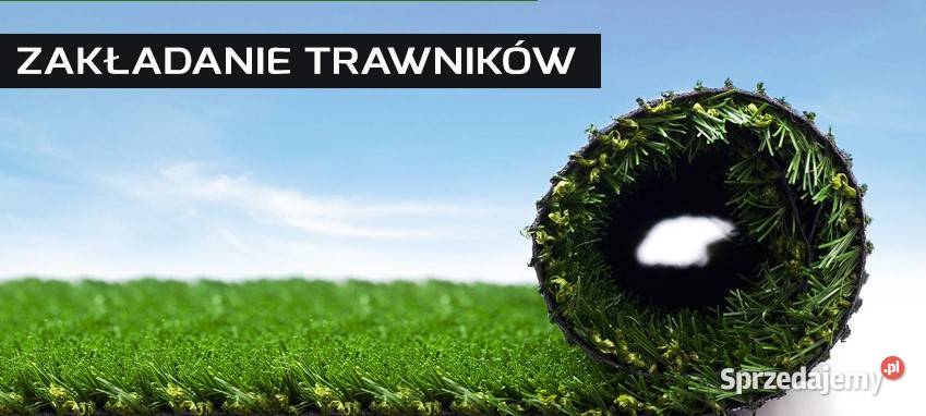 Trawniki z siewu z rolki nawadnianie Gostynin