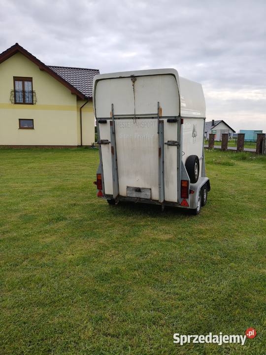 przyczepka do przewozu koni DMC 1600 Żmigród