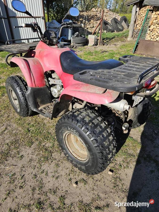 Quad Reinmech MT175H benzyna Stara Kornica