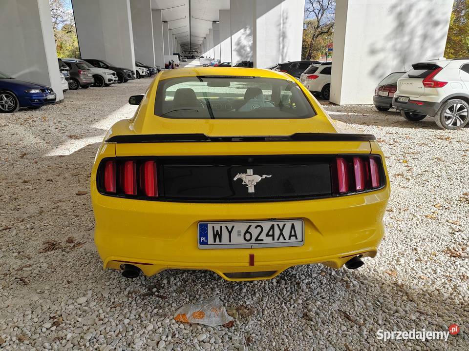Ford mustang 37 Warszawa