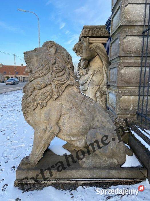 Lew pałacowy H220 figura z Kamienia Szczecin sprzedam