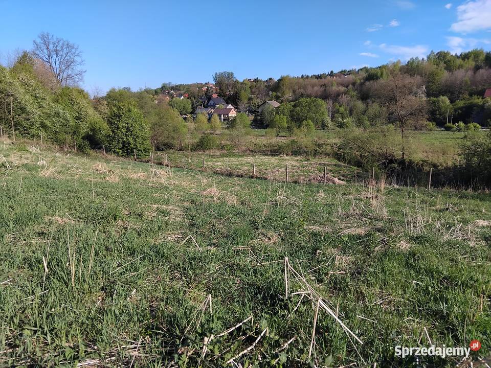 Działka budowlana 2585m Sprzedaż Grunty i działki Golkowice sprzedam
