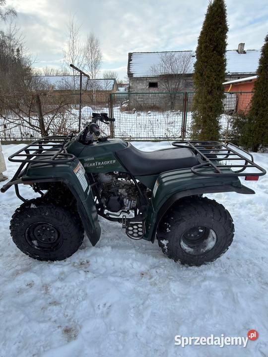 Quad bear tracker 250 Łuków