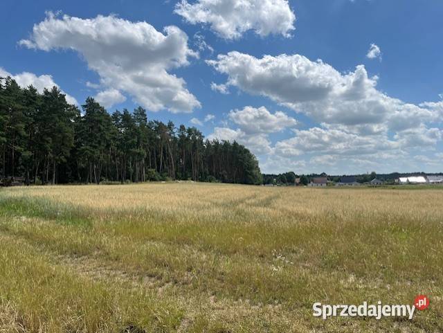 Działki budowlane Podańsko Goleniów Szczecin prąd