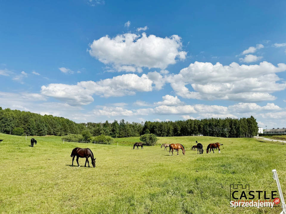 Gowidlino I pod budowę I spokojna okolica I w