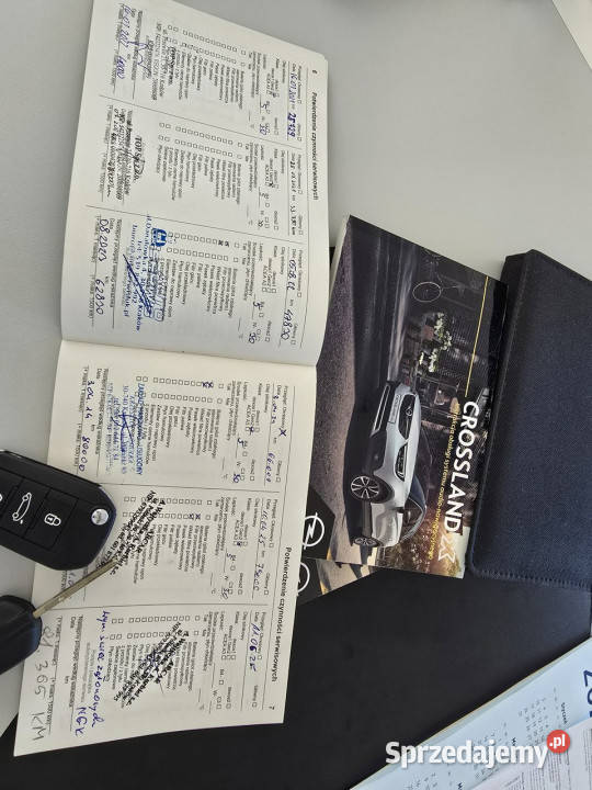 Opel Crossland X Pierwszy wł Krajowy Serwisowany manualna małopolskie Tarnów