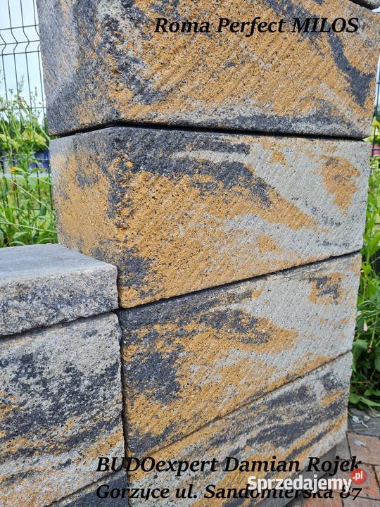 Pustak bloczek drapany Joniec ROMA PERFECT Milos Gorzyce