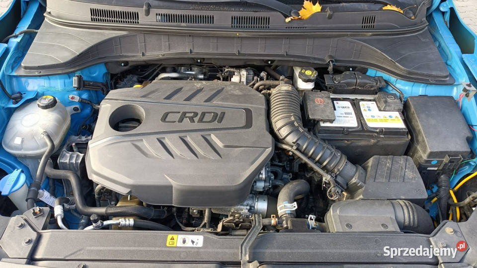 Hyundai Kona Zadbana ekonomiczna bezwypadkowa I podgrzewane fotele Stare Budy sprzedam