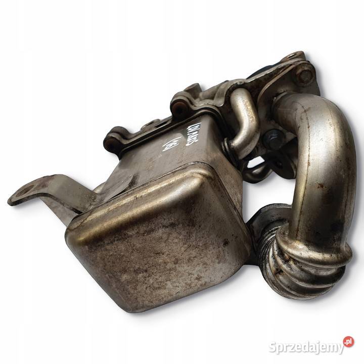 CHŁODNICA SPALIN Maxus V80 25 D oryginał Chełm