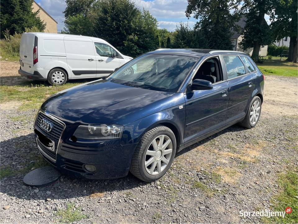 Audi A3 8P 20 TDI Manual 140 sprowadzony Bolesławiec