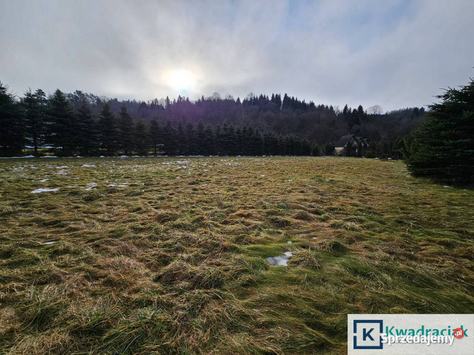 sprzedaży działki 3003m2 Huzele sprzedam