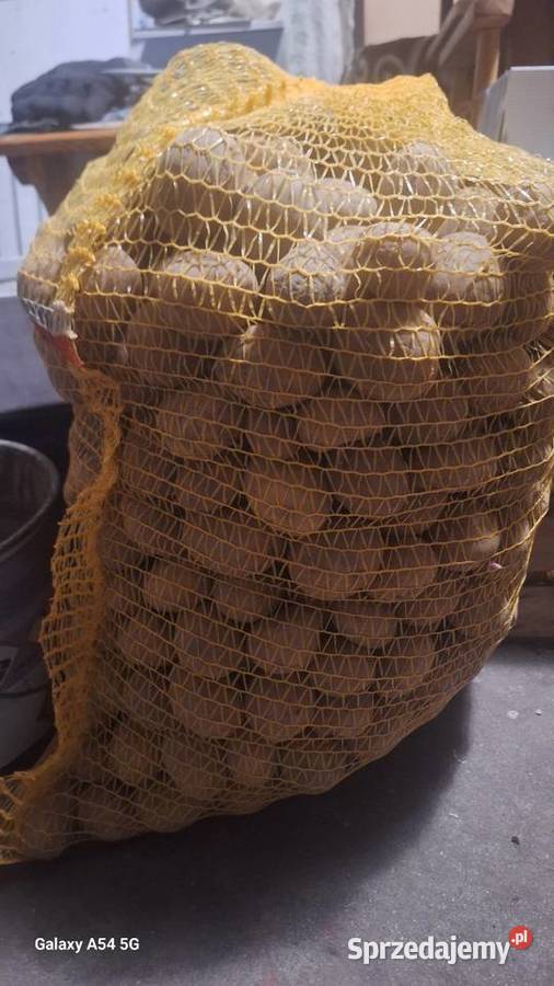 Ziemniaki sadzeniaki soraya podkarpackie Rzeszów