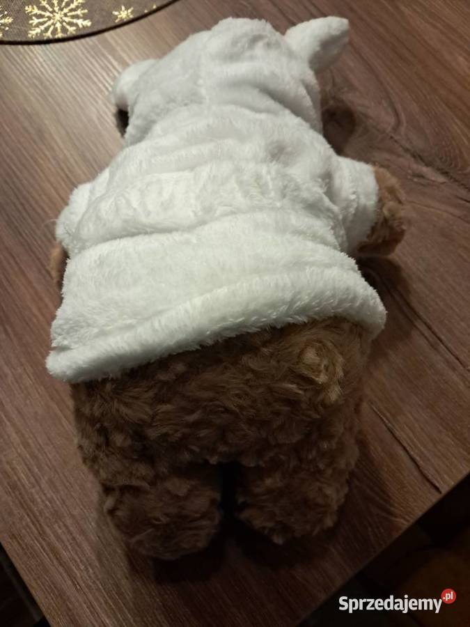 nowa milutka w dotyku przytulanka miś w Sandomierz