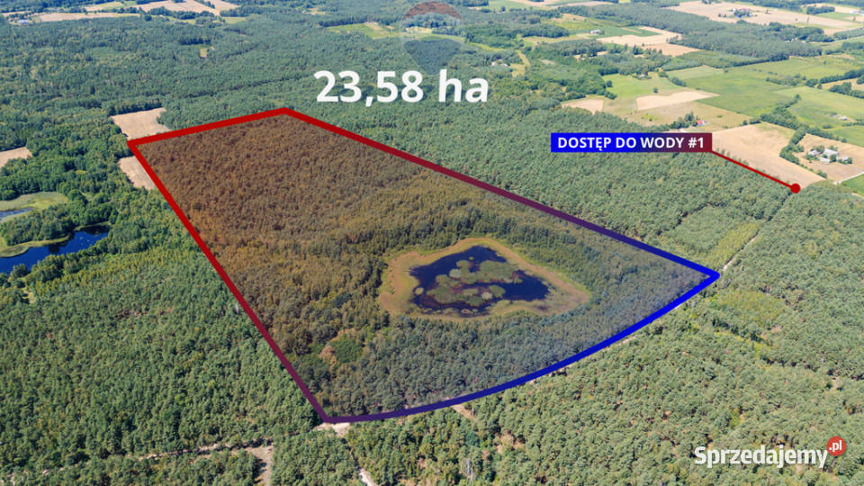 Piękna działka z lasem i oczkiem wodnym mazowieckie Sierpc