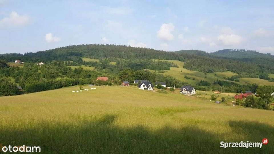 sprzedaży gruntu 3566m2 Walim dolnośląskie sprzedam