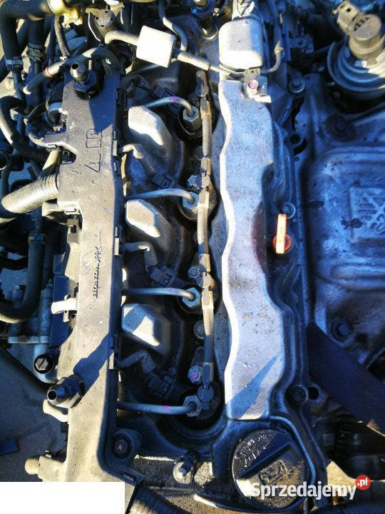 Honda accord VIII 2010 22 idtec silnik goły Kozubszczyzna