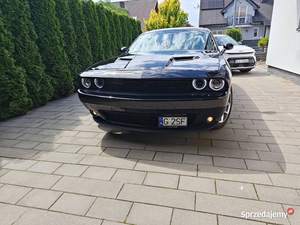 Dodge Challenger SXT Plus niski przebieg ładny benzyna Lębork