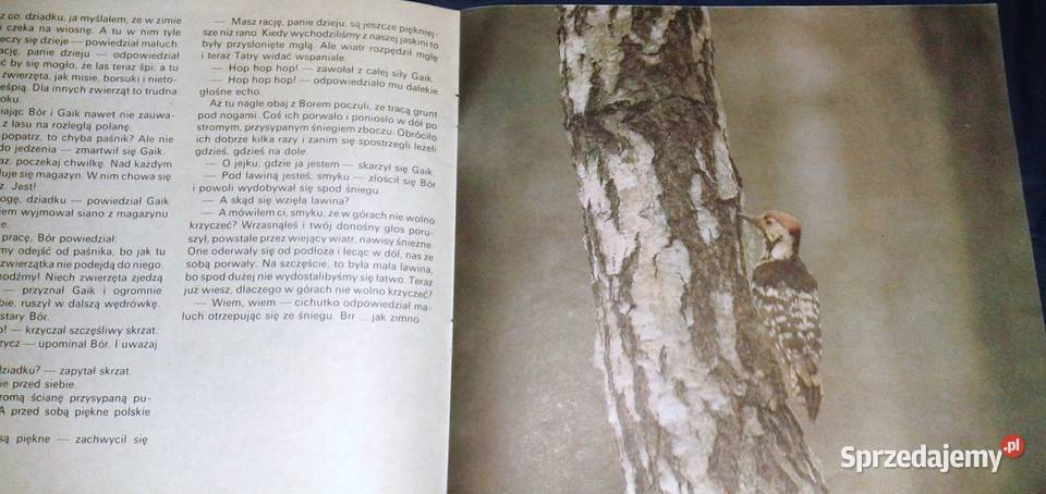 Bór i Gaik w zimowej szacie Marek Pietrzak lubelskie