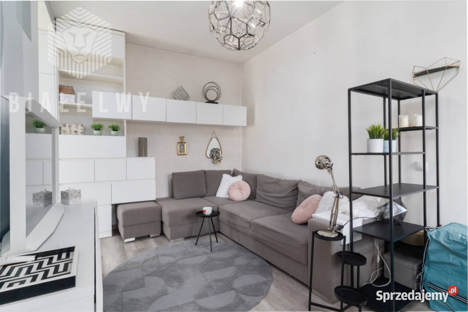 Mieszkanie 4159m2 2 pokoje Warszawa Nowowiejska mazowieckie sprzedam