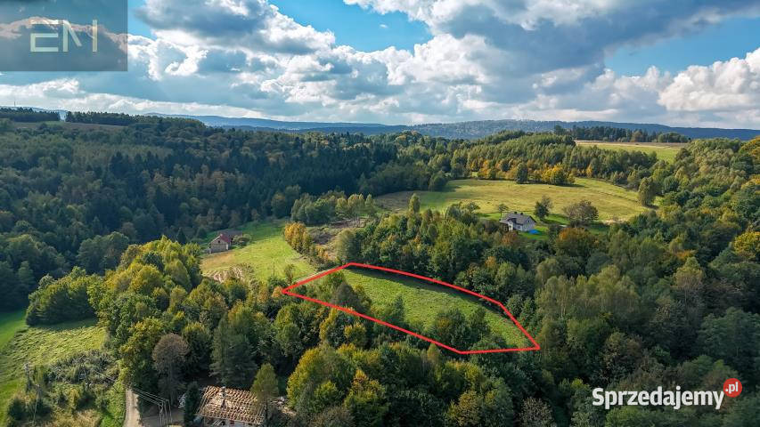 Działka 4000m2 Żyznów