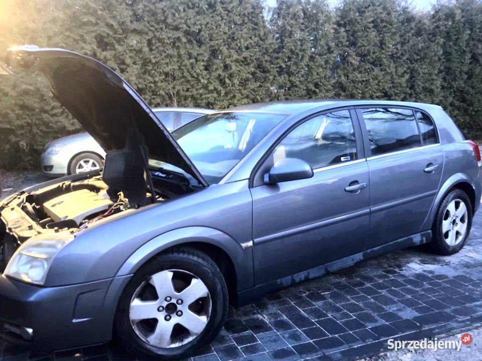 Opel Signum 18 2004r Kobyłka