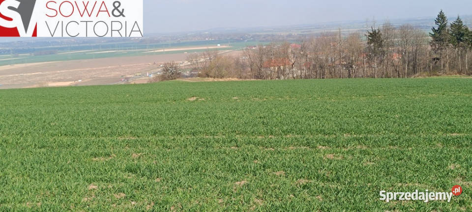 Piękna otoczona lasem działka w Dobromierzu utwardzona Dobromierz sprzedam