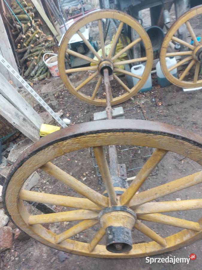 Kola do bryczki konnej Pozostałe podlaskie Augustów sprzedam