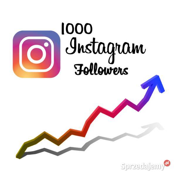 Prowadzenie kampanii reklamowej Instagram i Warszawa