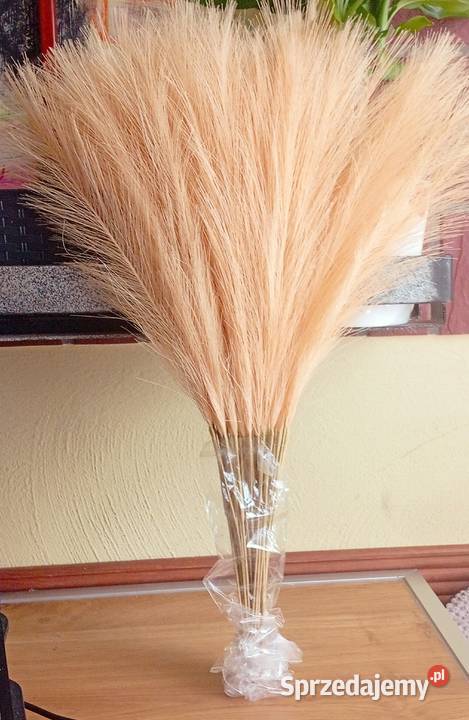 Morelowa sztuczna trawa pampasowa 40 sztuk Dom i Ogród