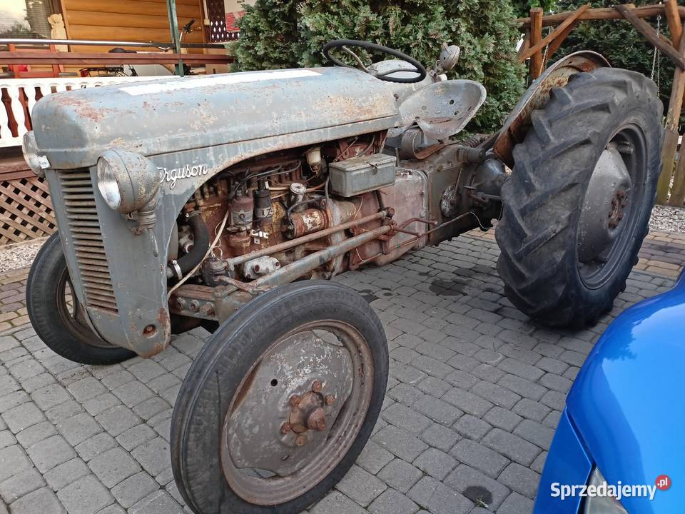 Ciągnik rolniczy Massey Ferguson TEA 20 38 1950 Massey Ferguson Kolno