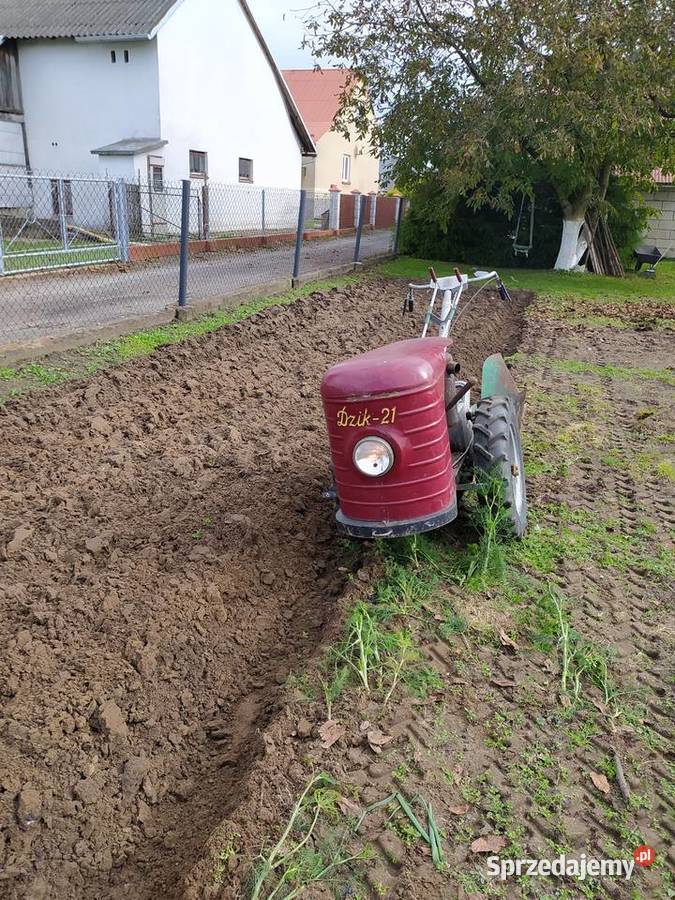 Sprzedam dzika 21 traktorek jednoosiowy ogrodowy Przeworsk