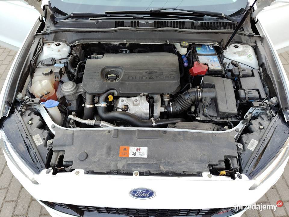 Mondeo mk5 120KM Pszczółki