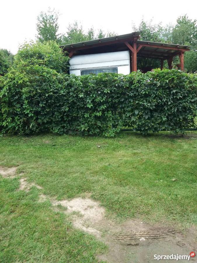 Sprzedam kemping na działce jeziorem dzierzawa Sulechów