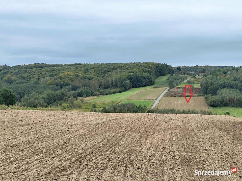 Działka z WZ Sieklówka 120 ar