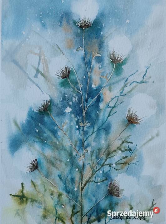 Akwarela Akwarelka Obraz pt Ostrożeń Polny
