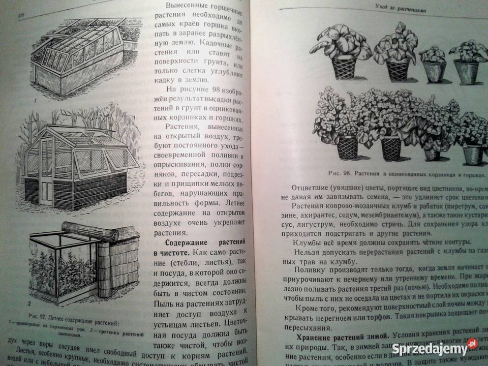 Kwiaciarstwo książka z czasów Stalina Kraków sprzedam