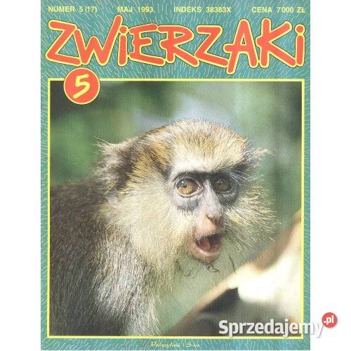 Zwierzaki 5 17 maj 1993 Antykwariat sprzedam