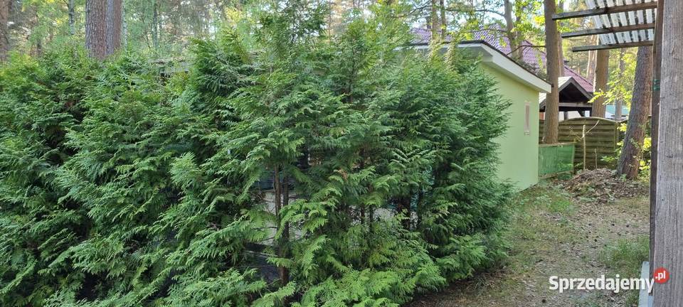 Domek Letniskowy morzem Pogorzelica