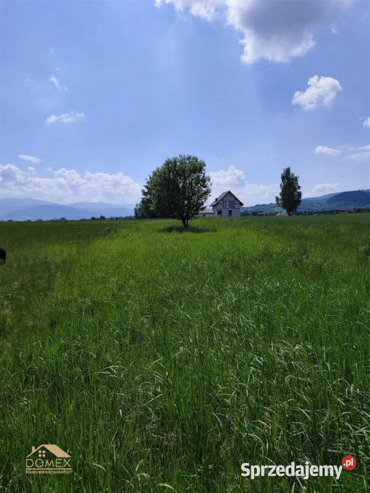 Działka Lipowa 1507m2