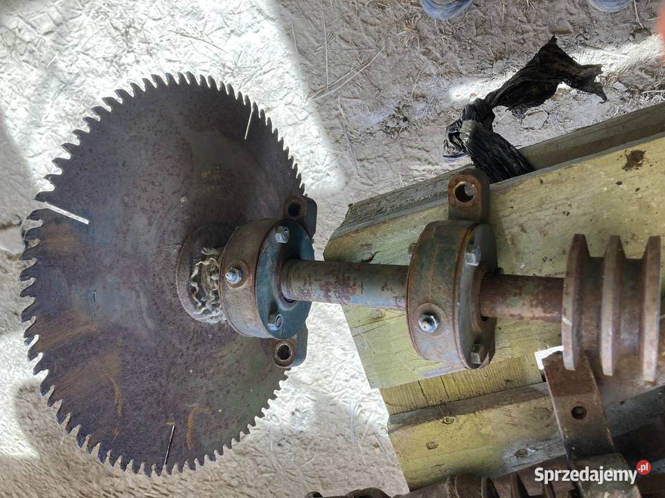 Wałek piła stołowa Krajzega cyrkulacja Szczecin sprzedam
