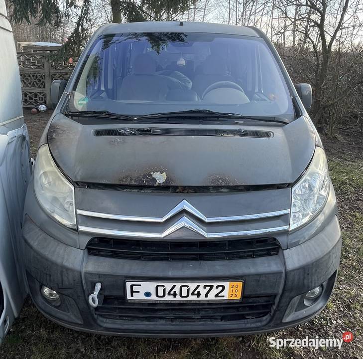 Citroen Jumpy Fiat Scudo Peugeot Expert na Jumpy Combi Poddębice