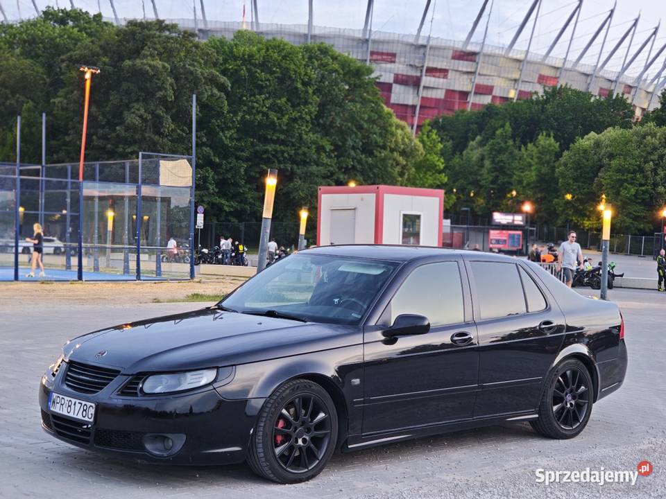 Saab 95 vector Radzymin