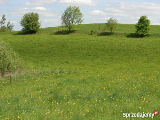 Działka na Mazurach z prywatnym dostępem do Elganowo
