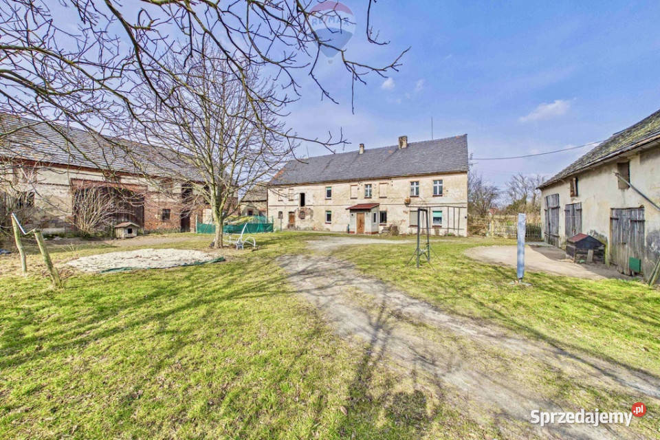 Dom z dużą działką i budynkami gospodarczymi Sprzedaż