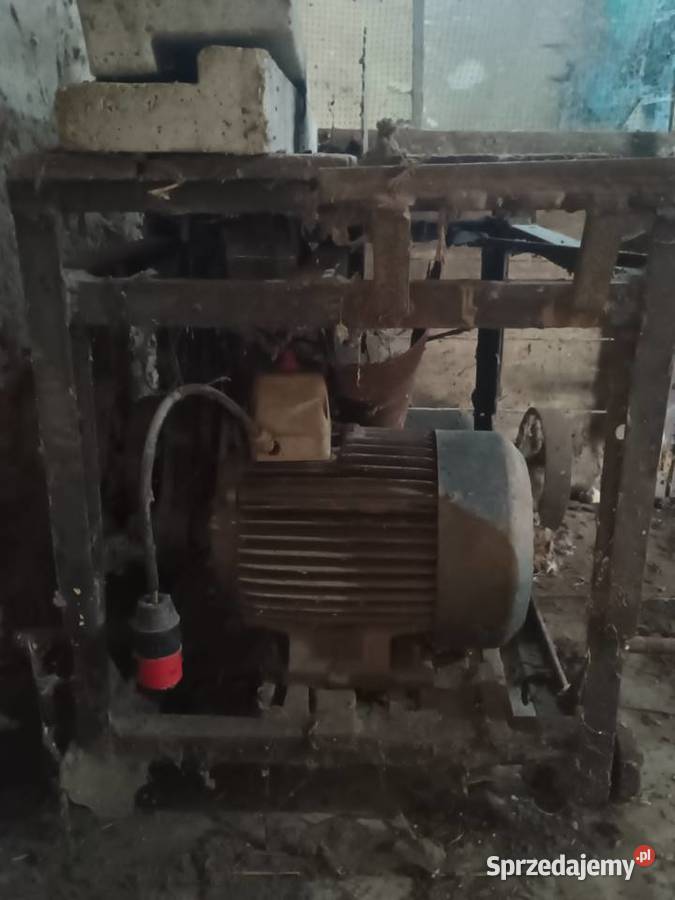 Sprzedam piłę do drewna krajzega Pozostałe Łagiewniki